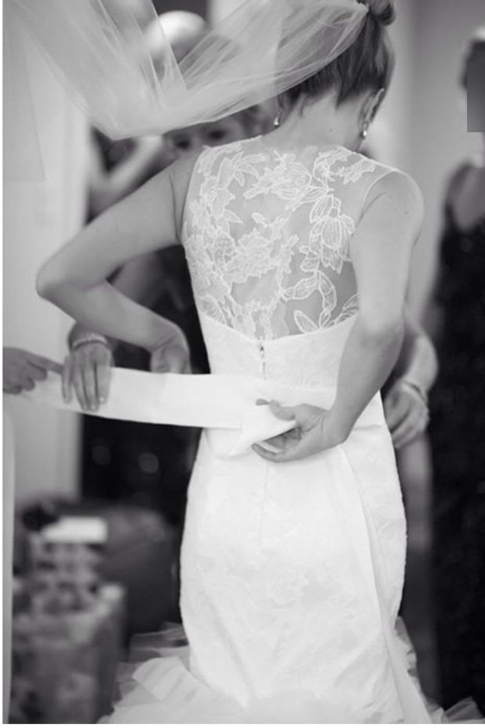 Vera Wang Lark 2