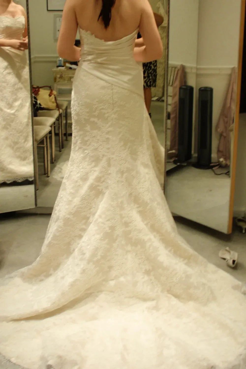 Anne Barge HGT Fit and Flare Ivory Lace with Veil 9