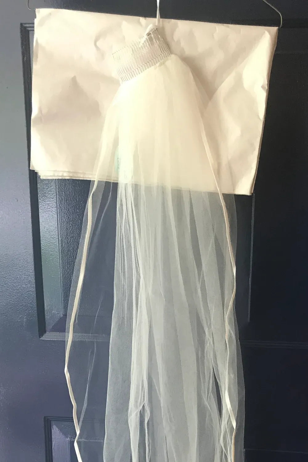 Anne Barge HGT Fit and Flare Ivory Lace with Veil 6