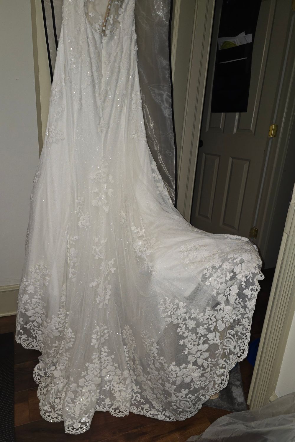 Blush by Hayley Paige Wilder Gown w/veil 3