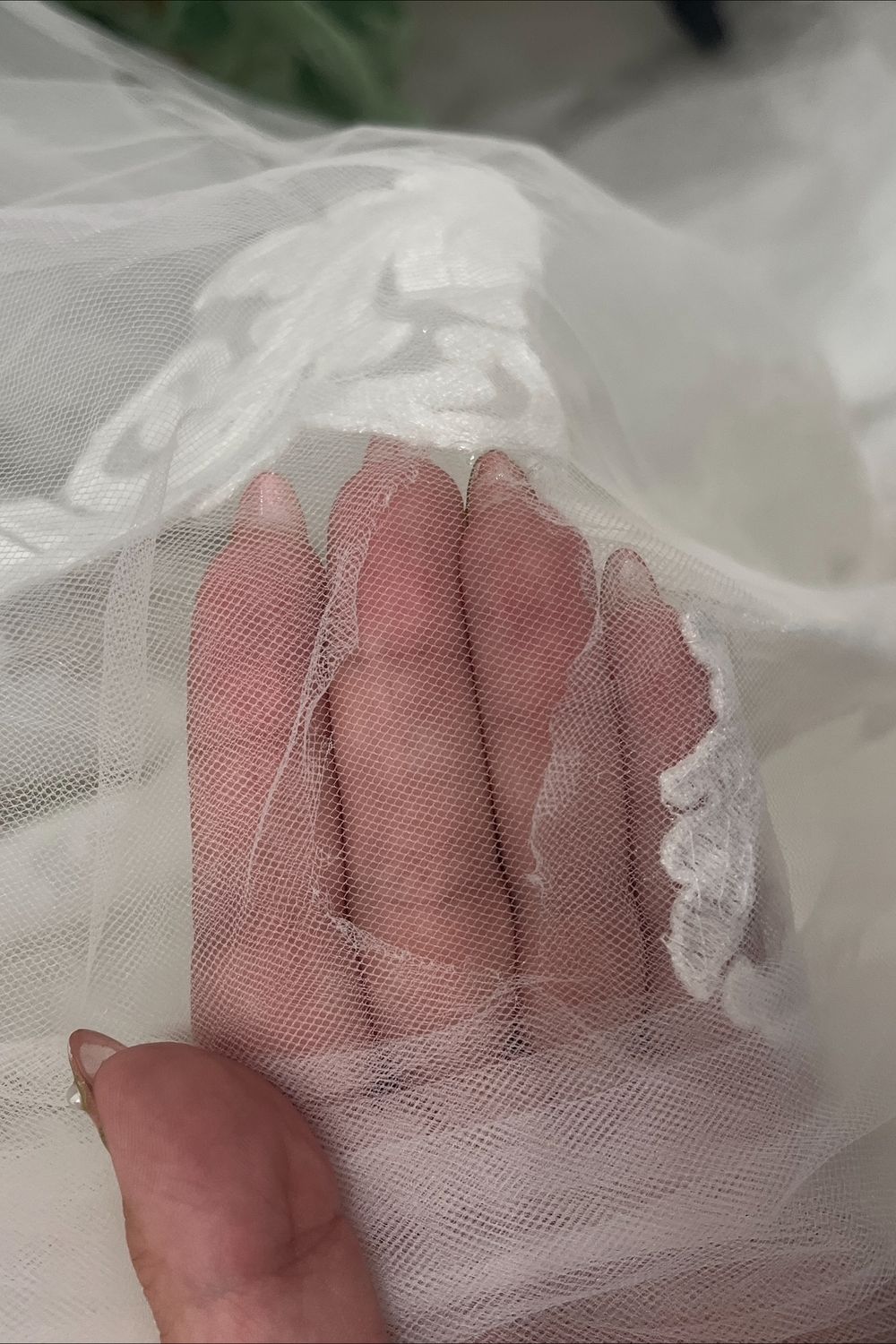 Sophia Tolli Harley 5