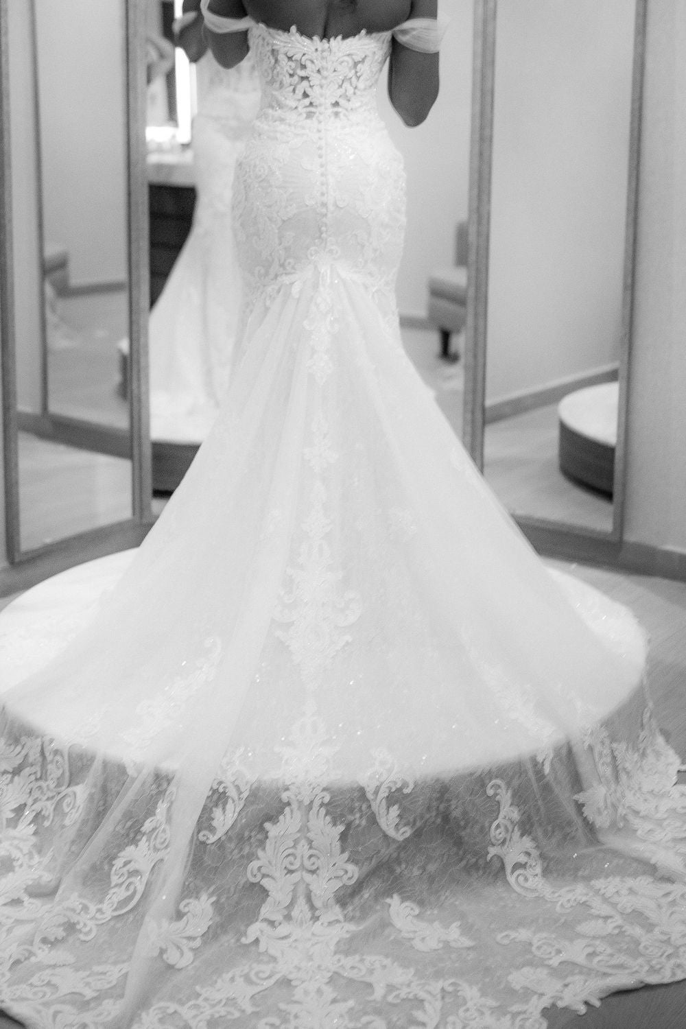 Sophia Tolli Harley 7