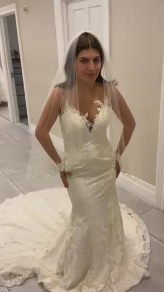 Fit and Flare Dress with Veil