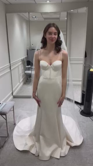 RK6462 with Veil
