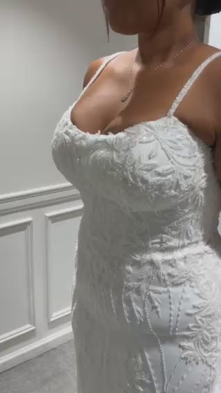 D4279 with Veil